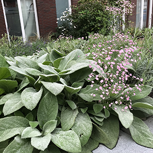 blok_groenindezorg